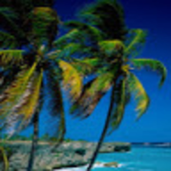 Meet your Posher, Katie - Picture 1 of 1